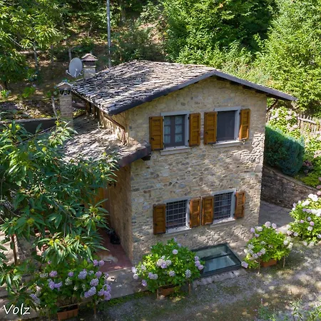 - Metato Sulle Alpi Apuane Mezzana (Lucca)