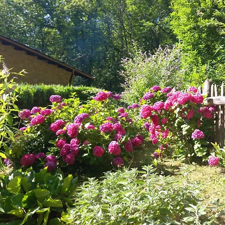 - Metato Sulle Alpi Apuane Chalet Mezzana (Lucca)