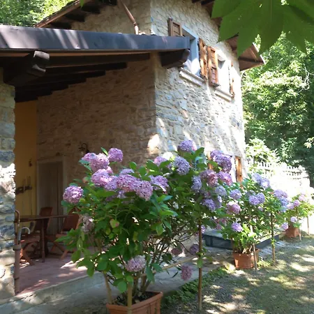 - Metato Sulle Alpi Apuane * Mezzana (Lucca)