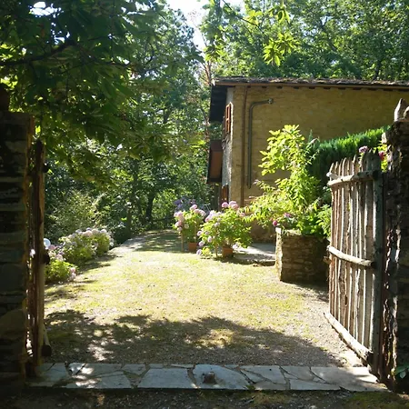 - Metato Sulle Alpi Apuane