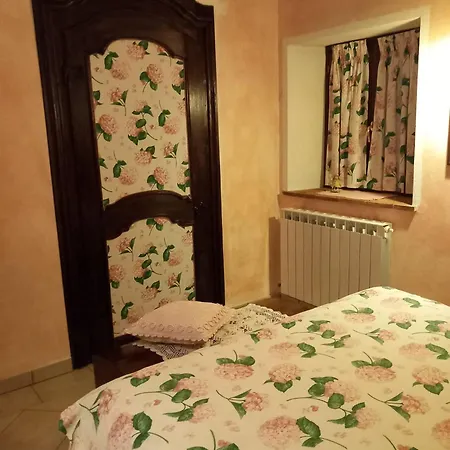 - Metato Sulle Alpi Apuane *